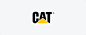 带有三角形字体logo设计-CAT