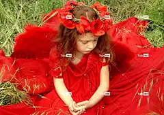 脸 罂粟花 红色的 美丽的花朵 红发 自然 场地 花壁纸 花