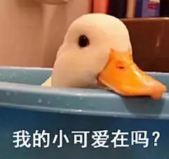 沙雕表情包更新，礼貌拿图

我受不了啦
好久没喝奶茶了，我不甜了
有点意思
让我想想
你是个好人，我配不上你...展开全文c