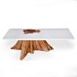 a tree stump becomes a coffee table. love it!