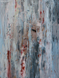 Meredith Marsone 艺术插画欣赏 #插画#