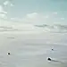 梦之ぁ天涯