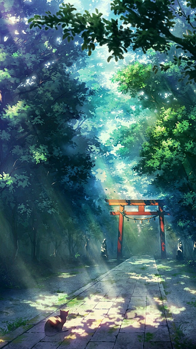 来自分享