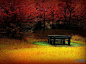 红色枫叶黄色草地里的椅子精美墙纸-非凡图库