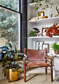 “If your living room has a bookshelf, turn it into an open display case that communicates who you are and what is most meaningful to you. Alongside your books, heirlooms, baseball trophies, and family photos, sprinkle in some plants that give you as much 