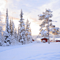 冬天雪树背景 免费下载 页面网页 平面电商 创意素材 png图片