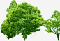 翠绿树林植物风景高清素材 树林 植物 翠绿 风景 免抠png 设计图片 免费下载