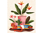 Domesticated feline texture pots plant leaves flowers indoors plants cat