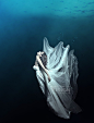 Under water