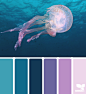 JellyfishHues.png