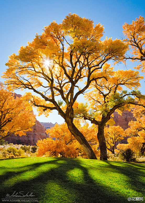  秋天的颜色·（卡顿，摩押附近，犹他州，...