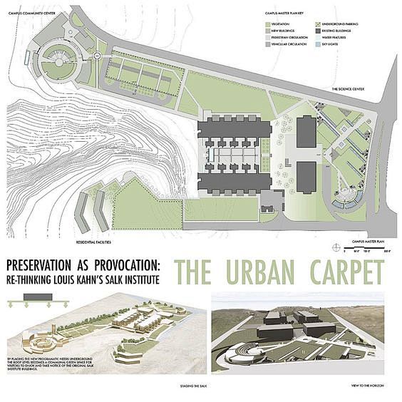 The Urban Carpet: An...