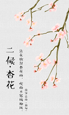 困顿少女采集到节气