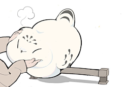 YOYOgur采集到可爱的小动物