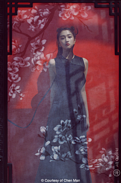 胖发达采集到女人如花