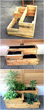 Herb garden planter box