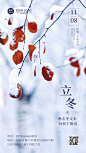 立冬节气全屏实景特写祝福海报