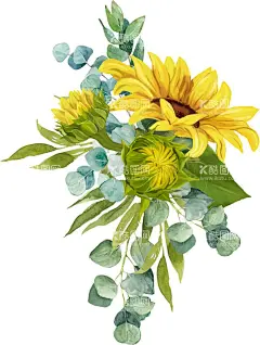 手绘水彩向日葵  - 源文件下载【酷图网】手绘,向日葵,花边,插画,花,绿植,水彩画,