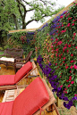 vertical flower garden
