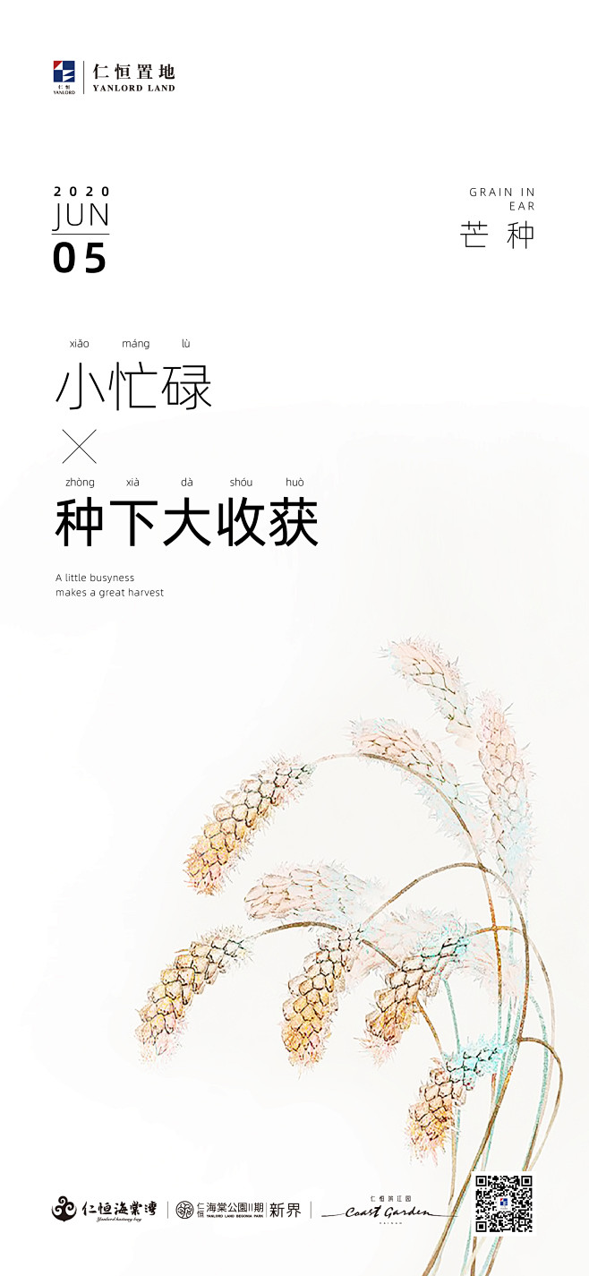 芒种