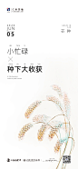 芒种