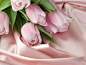 flowers nature wallpaper (#1454815) / Wallbase.cc