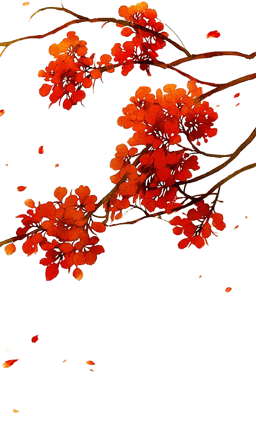 红色花枝4@北坤人素材