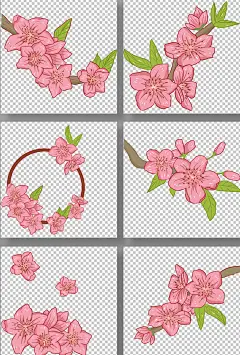 粉色唯美桃花樱花花卉元素插画