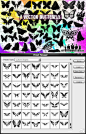 【推荐！蝴蝶造型的矢量素材】内含csh格式自定义形状文件，及AI、esp格式矢量素材，各种品种蝴蝶及蝴蝶剪影~下载请戳：http://t.cn/zRW8B2m @bubble丹