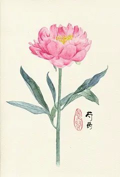 水彩