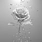 7b326451797113.58fa015f4008a.jpg (1200×1200)