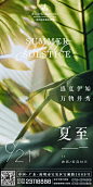 夏至