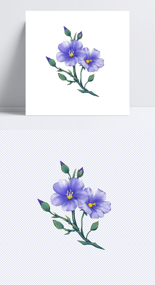 亚麻籽花|一枝花,亚麻籽花,手绘亚麻籽花,手绘亚麻籽花苞,png格式,卡通元素,手绘/卡通
