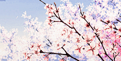 茶禾采集到GIF