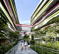 新加坡科技设计大学