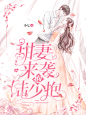 墨上梅封面设计，总裁封赏，可仿禁盗，底图来自花瓣，侵删致歉。约单联系QQ：3112846753