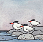 Terns 3x3 Watercolor Illustration Print by studiotuesday on Etsy                                                                                                                                                                                 Mais