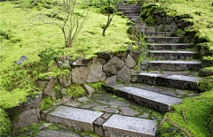明玕123采集到美丽乡村
