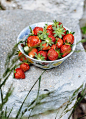 in my summer kitchen | theclevercarrot.com: 
