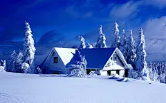 唯美纯洁的雪景桌面壁纸