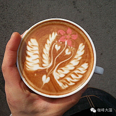 郁千澜采集到咖啡拉花