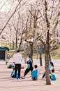 白鹭湾·樱花小院，一个梦幻的现代住宅社区 | 深度报道 – mooool木藕设计网