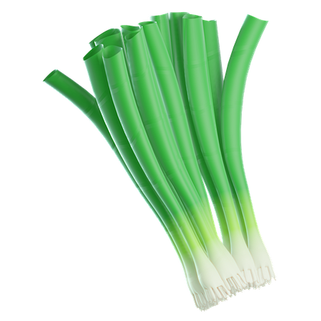 Green Onion 3D Illus...