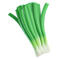 Green Onion 3D Illustration