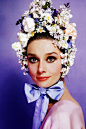 Audrey Hepburn 