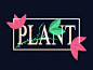 Plant