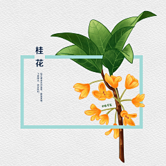 陆溢晨采集到植物插画
