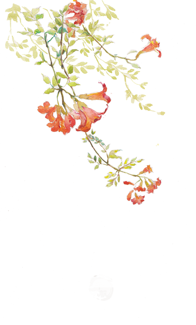 花手绘水墨中国风png竹子