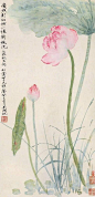 吴湖帆——花鸟画  |  
吴湖帆（1894-1968），江苏苏州人，为吴大澄嗣孙。收藏宏富，善鉴别、填词，建国后任上海大学美术学院副教授。他的山水从“四王”、董其昌上溯宋元各家，以雅腴灵秀、缜丽清逸的复合画风独树一帜，并工写竹、兰、荷花，与张大千一样，癖好古物，在观画、题画、赠画和评论上有殊多同感，在绘画上也同为仿古起家，又同是上溯唐宋，自成一格。