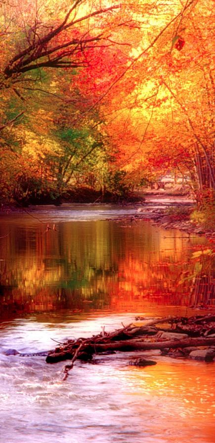 Autumn stream... Can...